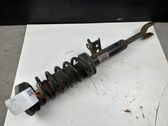 Front shock absorber with coil spring