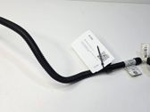 Other wiring loom