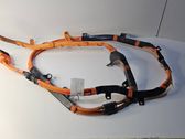 Other wiring loom