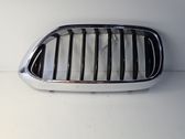 Front grill