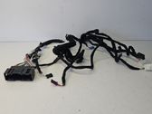 Other wiring loom