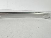 Rear sill trim cover