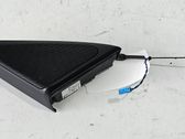 Front door high frequency speaker