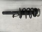 Front shock absorber/damper