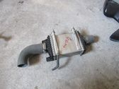 Intercooler radiator