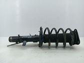 Front shock absorber with coil spring