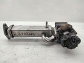 EGR valve cooler