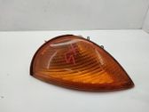 Front fender indicator light