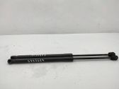 Tailgate/trunk strut/damper