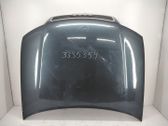 Engine bonnet/hood