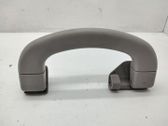 Front interior roof grab handle