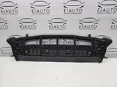 Front bumper skid plate/under tray