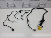 Rear door wiring loom
