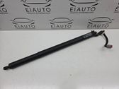 Tailgate/trunk strut/damper