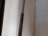 Front bonnet/hood damper/strut
