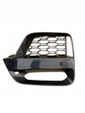Moldura/rejilla de la luz antiniebla delantera