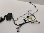 Front door wiring loom