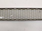 Kühlergrill