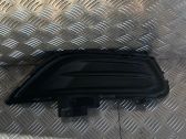 Front fog light trim/grill