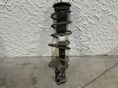 Front shock absorber with coil spring