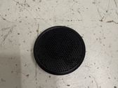 Panel speaker