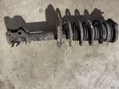 Amortiguador delantero con muelle espiral