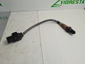 Sonde lambda