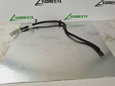 Wires (generator/alternator)