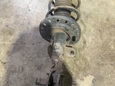 Front shock absorber with coil spring