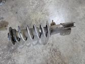 Front shock absorber with coil spring