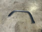 Fender trim (molding)