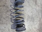 Rear coil spring
