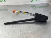 Radio antenna