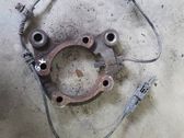Rear wheel hub