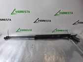 Tailgate/trunk strut/damper
