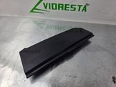 Rear door glass trim molding