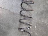 Muelle espiral trasero