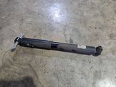 Rear shock absorber/damper