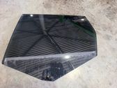 Rear door window glass