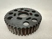 Camshaft pulley/ VANOS