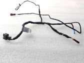 Front door wiring loom