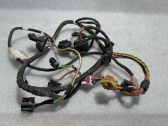 Front door wiring loom