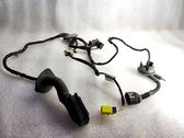 Front door wiring loom