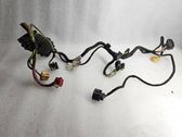 Front door wiring loom