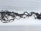 Engine installation wiring loom