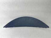 Dashboard trim
