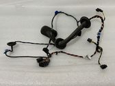 Front door wiring loom