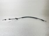 Front door cable line
