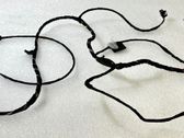 Front door wiring loom