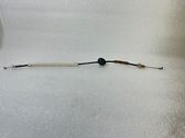Rear door cable line